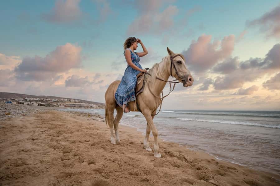 Doha : Arabian Horse Ride Experience With Transfer - One Hour on Horseback at Sealine