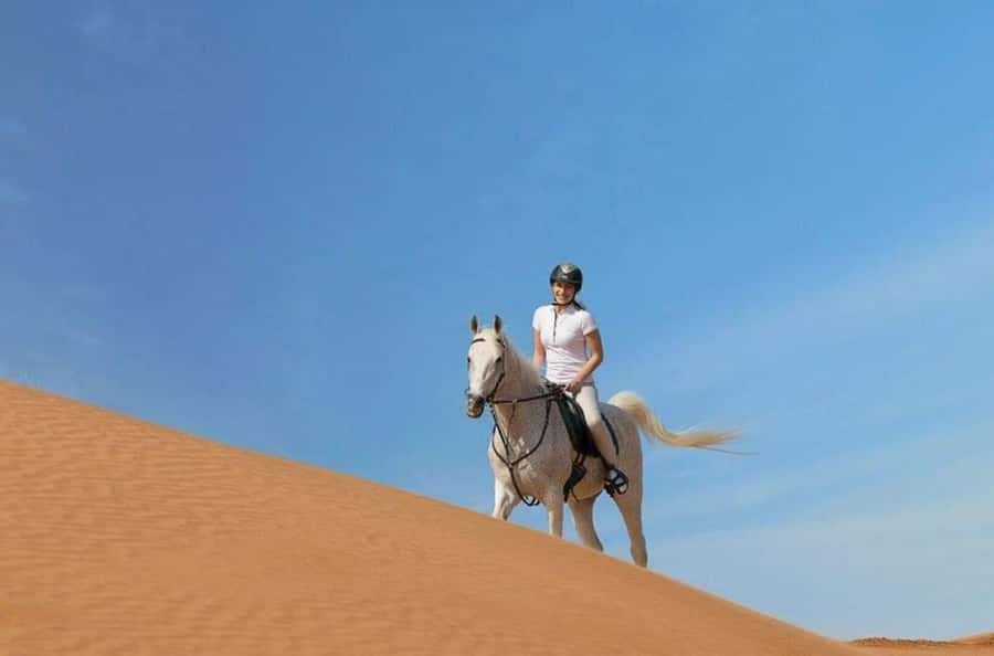 Doha : Arabian Horse Ride Experience With Transfer - Practical Tips for a Smoother Experience