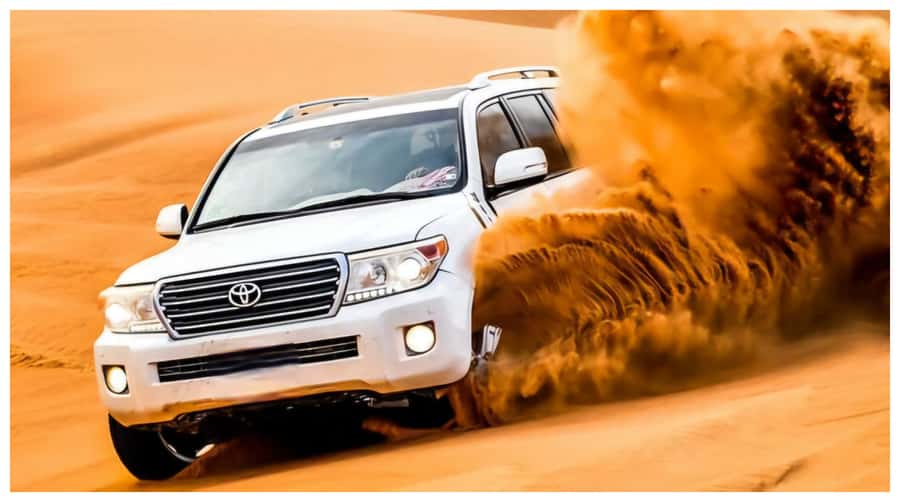 Doha : Arabian Horse Ride Experience With Transfer - Should You Book This Horse Ride?