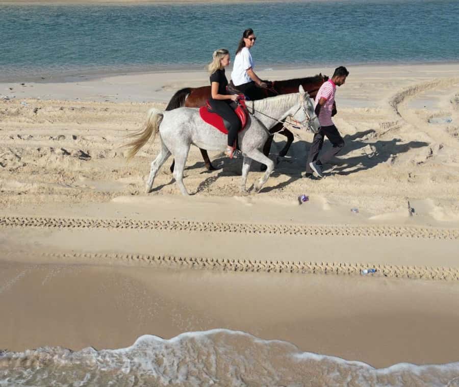 Doha: Arabian Horse Riding Experience –Sea or Desert Options - Sixty Minutes With a Well-Matched Arabian Horse