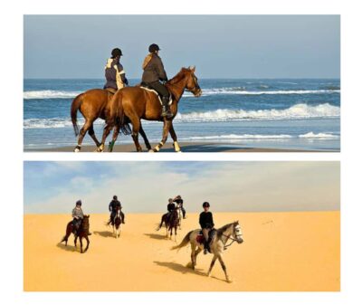 Arabian Horse Riding Experience –Sea or Desert Options