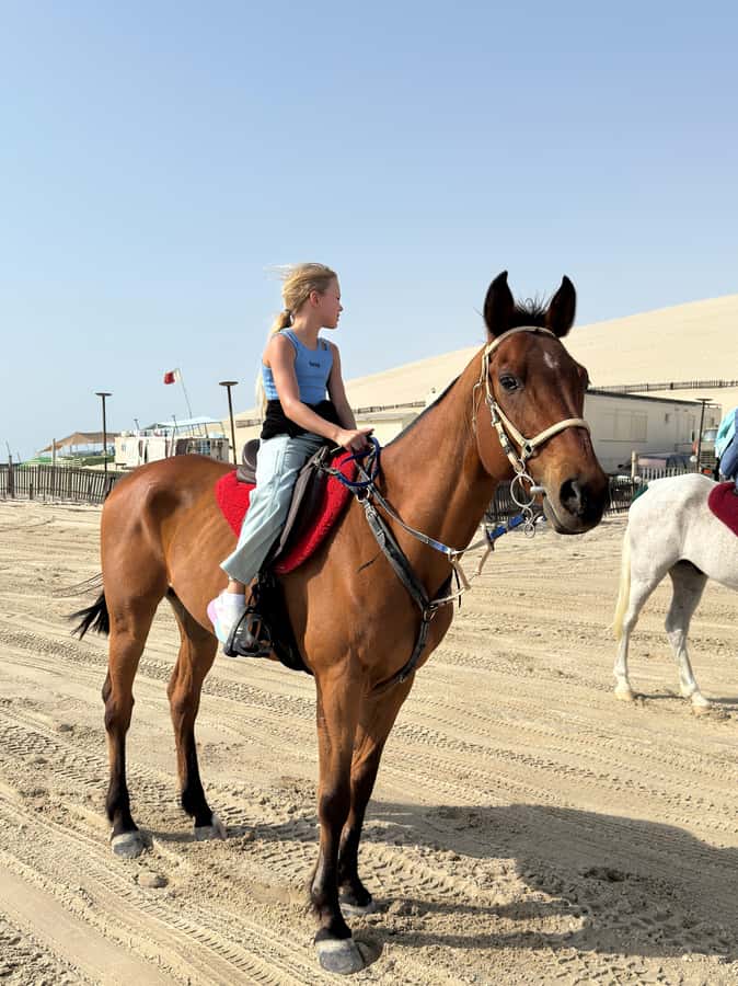 Doha: Arabian Horse Riding Experience –Sea or Desert Options - How the Private Setup Affects Value