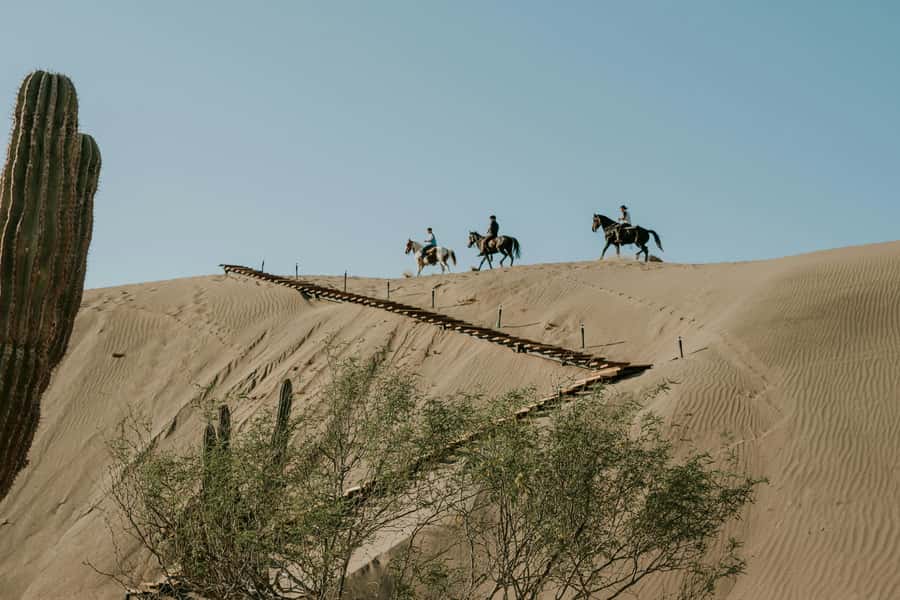Doha: Arabian Horse Riding Experience –Sea or Desert Options - Timing, Heat, and Practical Comfort