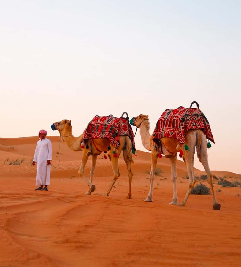 Doha: ATV/Desert Safari with Activities and Inland Sea Stop - Sandboarding on the soft slopes