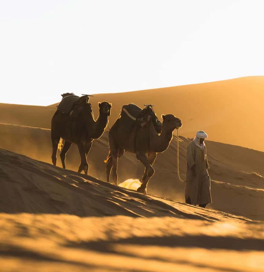 Doha: ATV/Desert Safari with Activities and Inland Sea Stop - The ride back to Doha