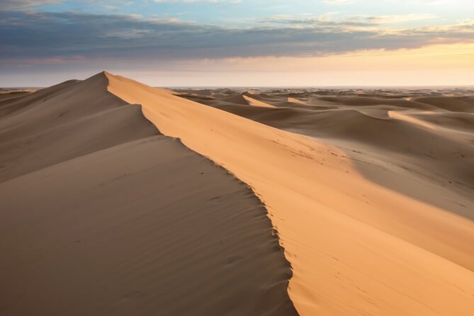 Doha ATV Quad Bike Adventure in the Middle of Desert Qatar - Who should book this desert experience?