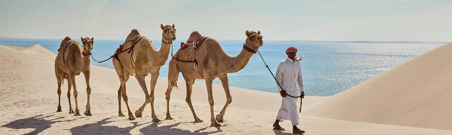 Doha: ATV/Quad, Safari 4x4, Camels, Sandboarding& Inland Sea - Camel riding and the optional quad bike