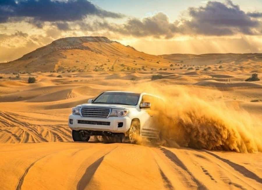 Doha: Budget Friendly Desert Safari,CamelRide & Sandboarding - Why this $13 safari deserves a closer look