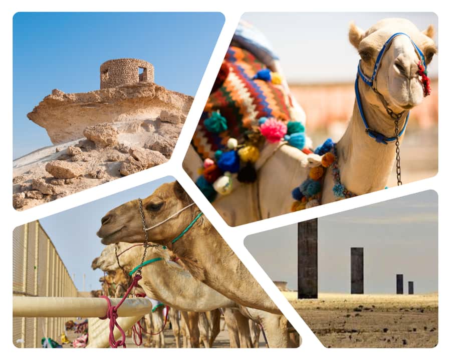 Doha Camel Race Track & Richard Serra Desert Sculpture Tour - Leaving Doha for Al-Shahaniya