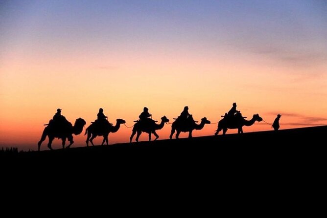 Doha City and Desert Safari Tours (Combo Tour) - Doha Corniche and the first city views