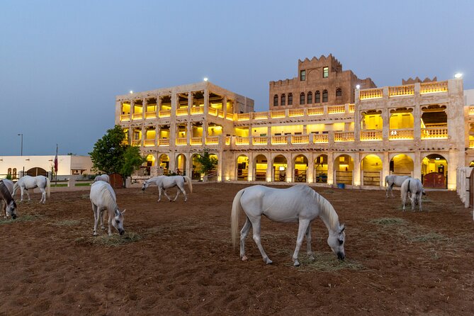 Doha City Highlights Guided Tour With Dhow Cruise - Pearl Island and the little Venice comparison