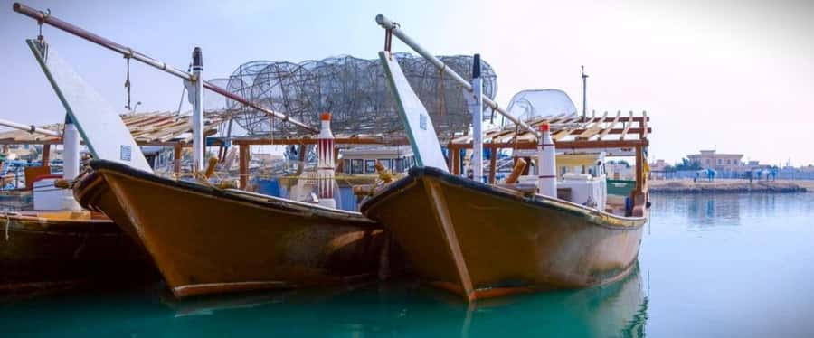 Doha: Combo Heritage & Art Tour of North and West Qatar - Al Ruwais and the northern coast