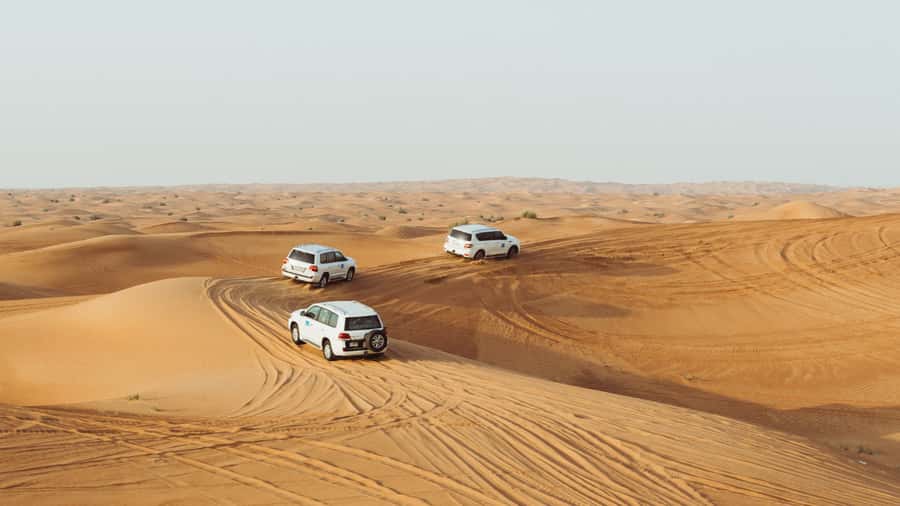 Doha: Combo Private Tour of Desert Safari with ATV Ride - What $100 buys you