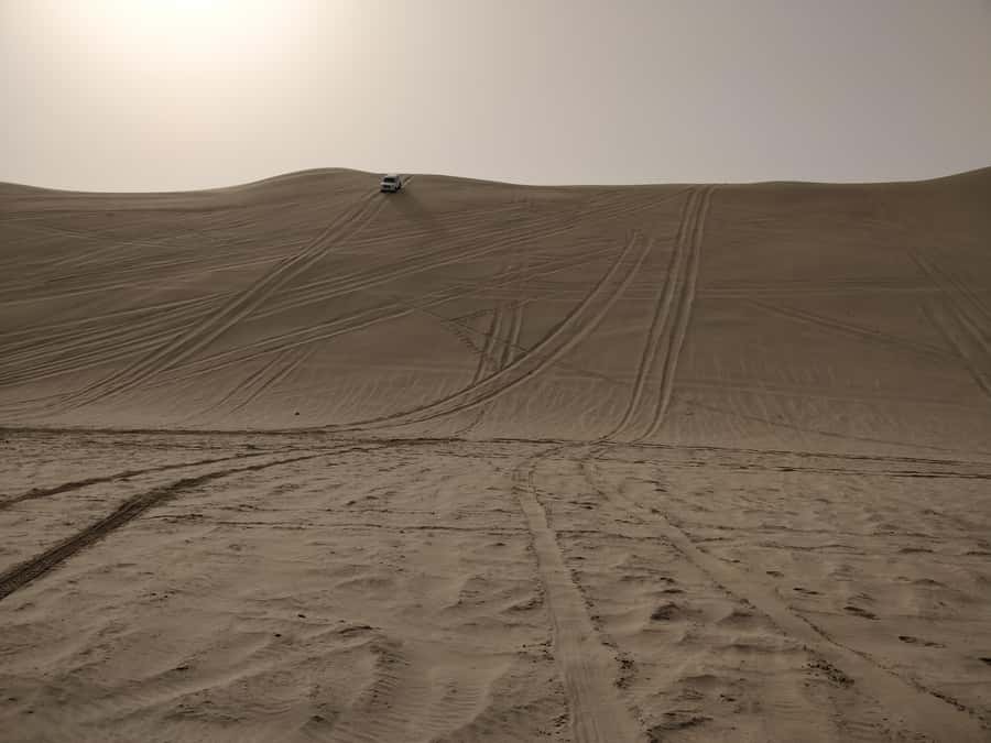 Doha: Combo Private Tour of Desert Safari with ATV Ride - Guides make the difference