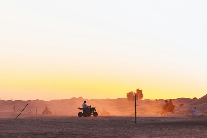 Doha Delights City Tour with Desert Safari and Inland Sea Visit - The Pearl Island and modern Doha