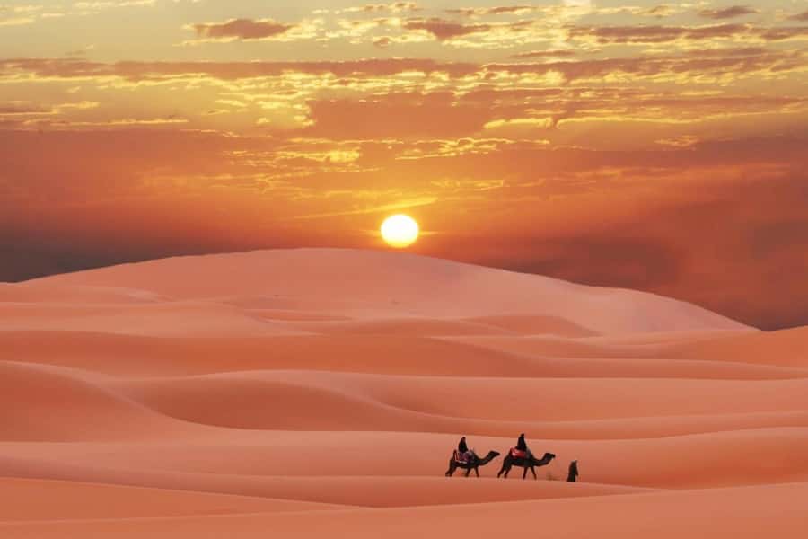 Doha: Desert 4x4, ATV/Quad, Camels, Sandboarding, Inland sea - Five things to know before you go
