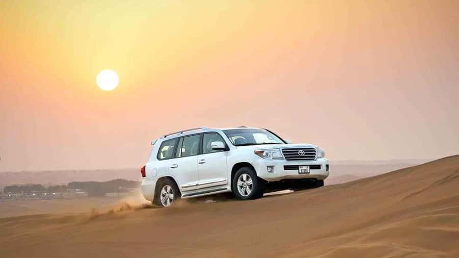 Doha: Desert 4x4, ATV/Quad, Camels, Sandboarding, Inland sea - From Doha to Sealine Beach in one hour