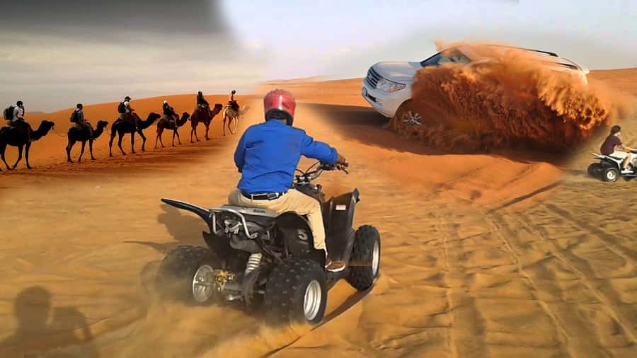 Doha: Desert 4x4, ATV/Quad, Camels, Sandboarding, Inland sea - Camels, tea, and a slower desert pause