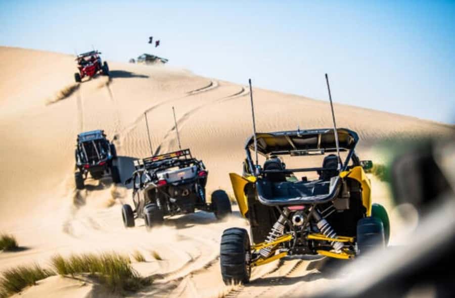 Doha: Desert Buggy Ride, Camel Ride, Dune Bashing, Sandboard - The one-hour return and the real value of $135