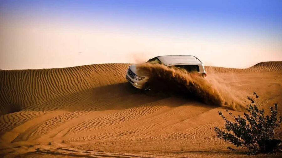 Doha Desert Excursion, Camel Ride, Inland sea, Sandboarding - Why this four-hour desert trip works well