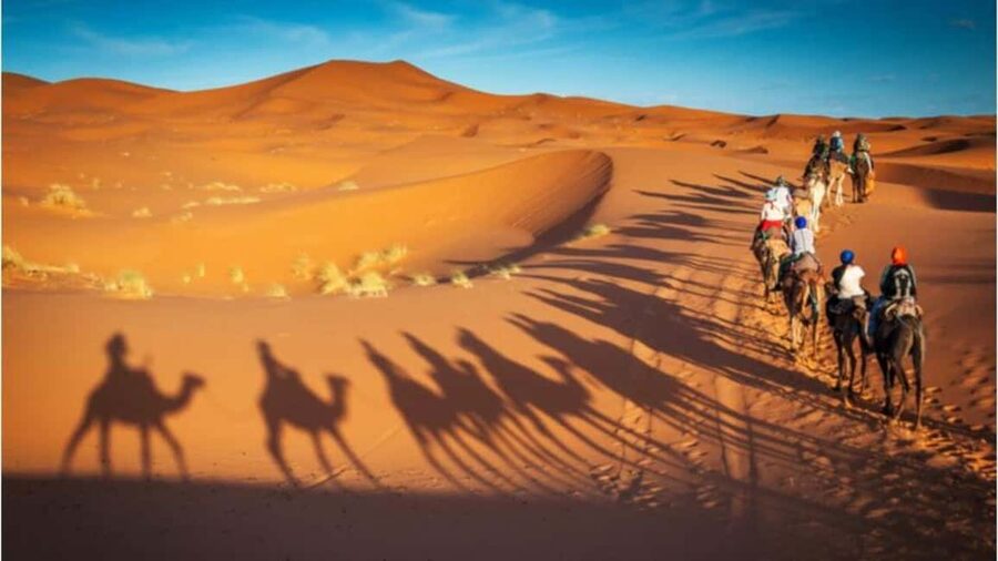 Doha Desert Excursion, Camel Ride, Inland sea, Sandboarding - Who will enjoy this desert safari most