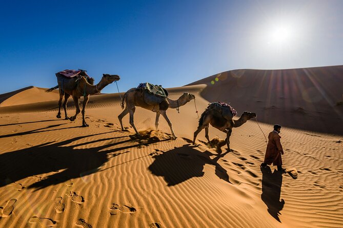 Doha Desert Excursion Dune Bashing Sandboarding Camel Ride - Dune bashing: the main event