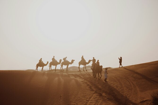 Doha Desert Excursion Dune Bashing Sandboarding Camel Ride - Who will enjoy this Doha desert safari?