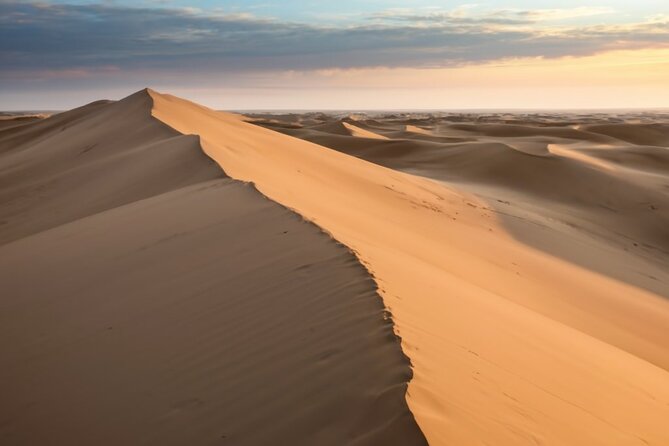 Doha Desert Quad Bike adventure with group, and Sand dune Driving - Starting at National Museum Metro Station