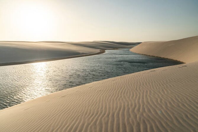 Doha Desert Quad Bike adventure with group, and Sand dune Driving - The Optional Camel Ride