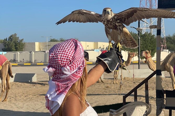 Doha Desert Safari Camel Ride Dune Bashing and ATV Bike - The Inland Sea brings the scenery into focus