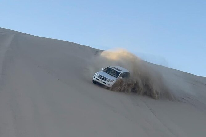 Doha Desert Safari Dune Bashing Camel Ride - What the $95 Price Really Covers