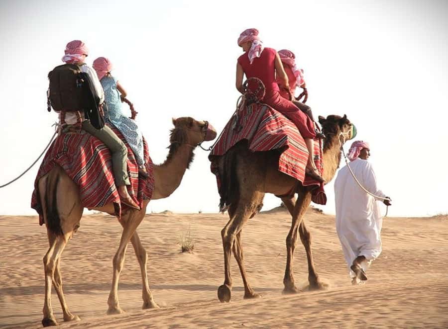 Doha: Desert Safari Dune Bashing, Sandboarding, & Camel Ride - The 4x4 ride over Qatar’s dunes