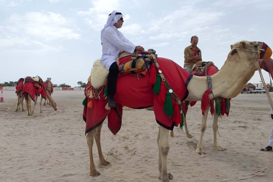 Doha: Desert Safari Dune Bashing, Sandboarding, & Camel Ride - Returning to Doha after four active hours