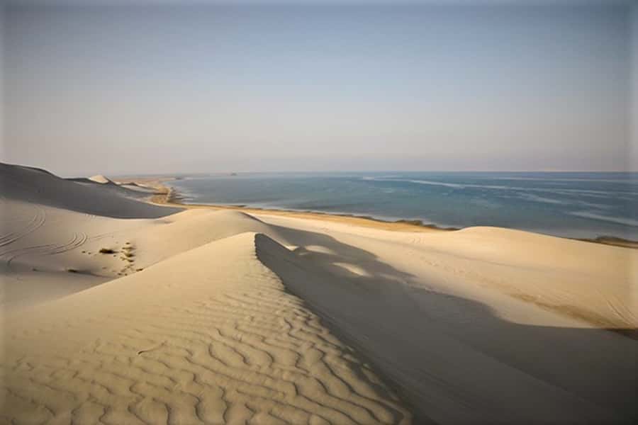 Doha: Desert Safari Dune Bashing, Sandboarding, & Camel Ride - What the $30 price really gives you