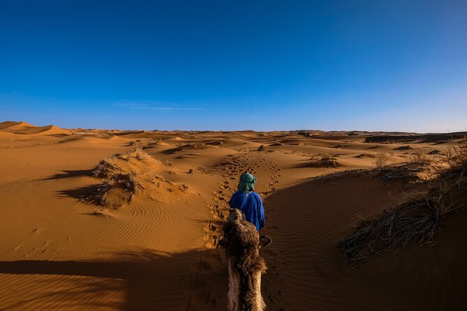Doha Desert Safari Dune bashing,Sandboarding,CamelRide,Inland Sea - Reaching the Inland Sea Near Saudi Arabia