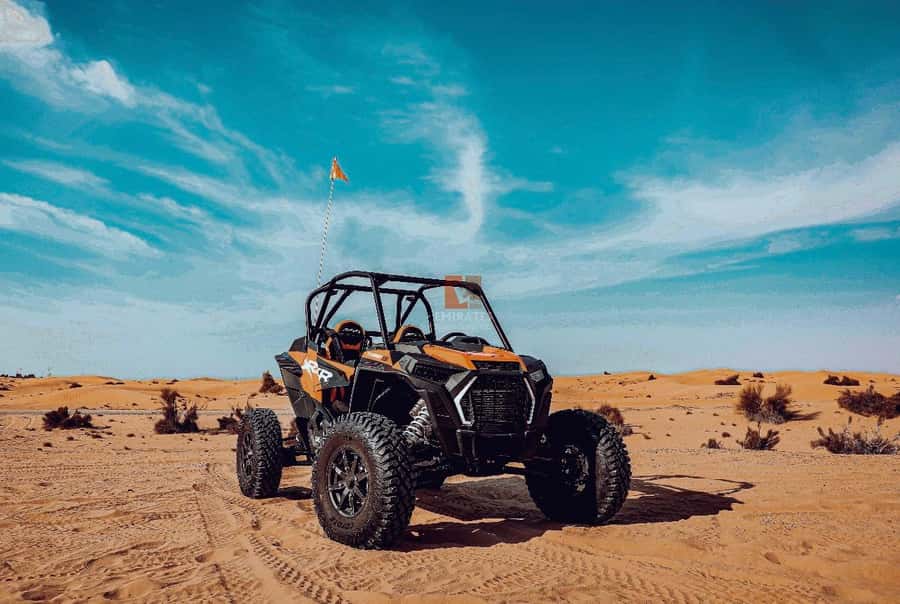 Doha: Desert Safari Experience – Quad Bike, Buggy/Camel Ride - Key Points Before You Book