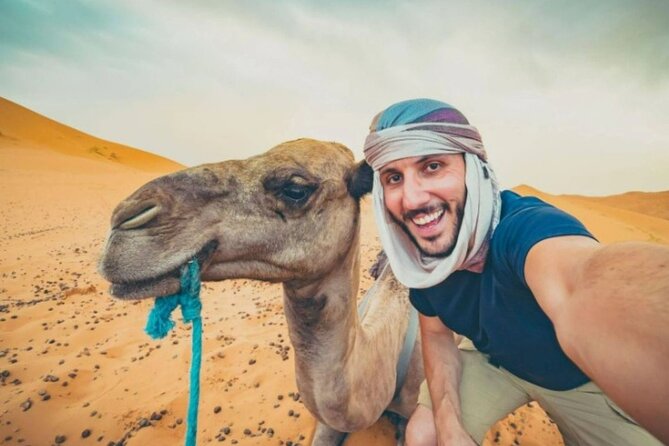 Doha Desert Safari Horse Riding, Camel Ride, ATVs & Inland Sea - One hour on an ATV across the dunes