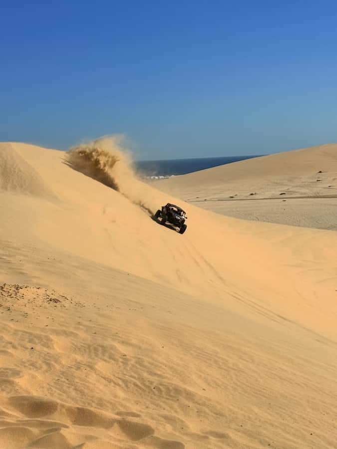 Doha: Desert Safari, Quad Bike, Camel Ride & Inland Sea - Key points before you book