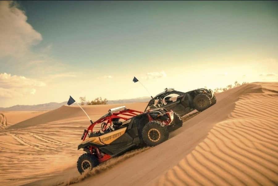 Doha: Desert Safari, Quad Bike, Camel Ride & Inland Sea Tour - Guides, driving, and the human side of the trip