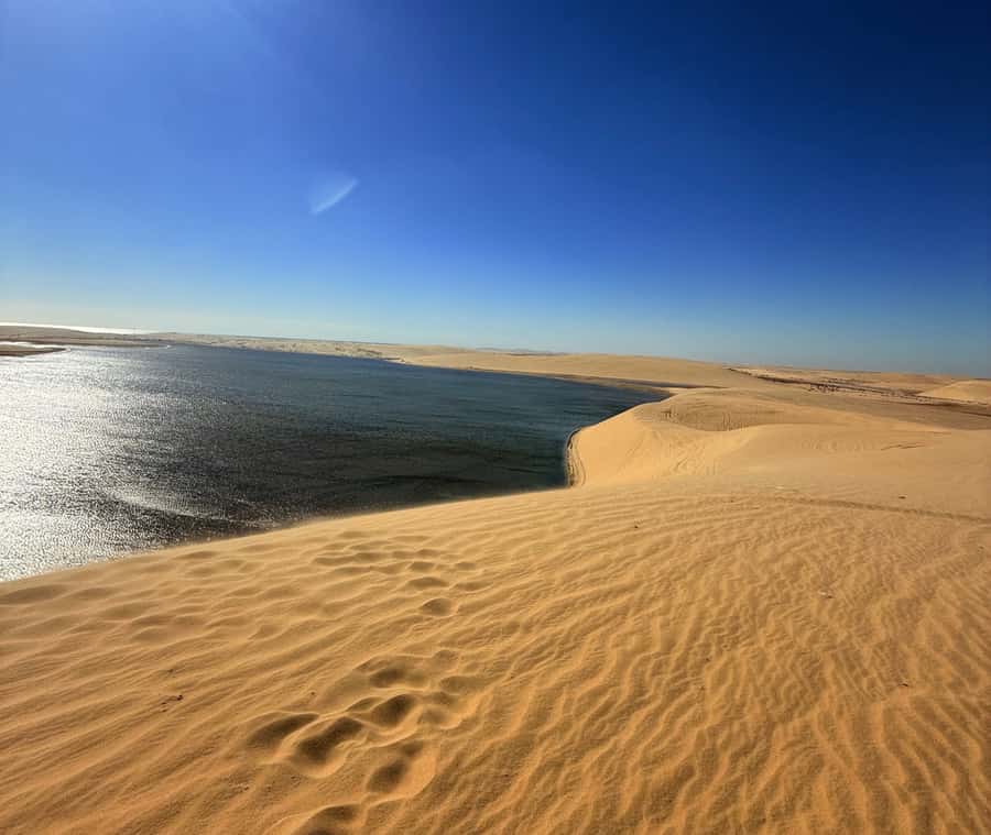 Doha: Desert Safari, Quad Bike, Camel Ride & Inland Sea - The one-hour ride out from Doha