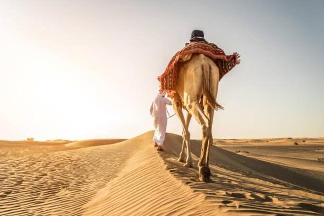 "Doha Desert : Safari, Sandboarding, Camel Ride & Inland Sea" - Sandboarding adds a simple, low-pressure challenge