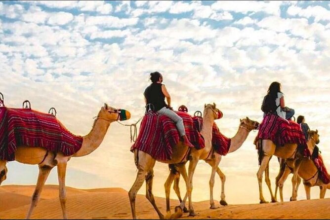 "Doha Desert : Safari, Sandboarding, Camel Ride & Inland Sea" - Pickup from Doha in an air-conditioned 4x4