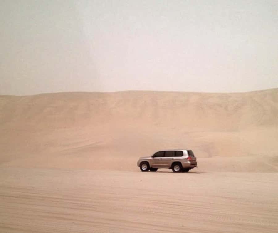 Doha Desert Safari: Sandboarding, Camel Ride & Swimming Fun - Key points to know before booking