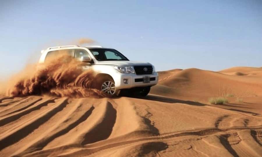 Doha Desert Safari: Sandboarding, Camel Ride & Swimming Fun - Shared or private: which version should you choose?