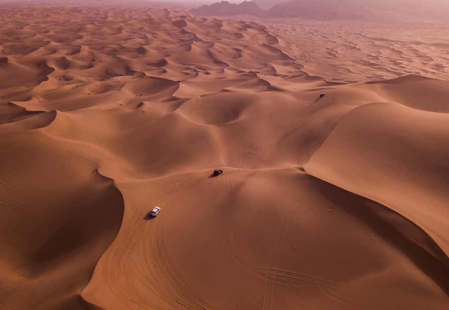 Doha: Desert Safari, Sandboarding, Dune Bashing & Inland Sea - The guides make the biggest difference