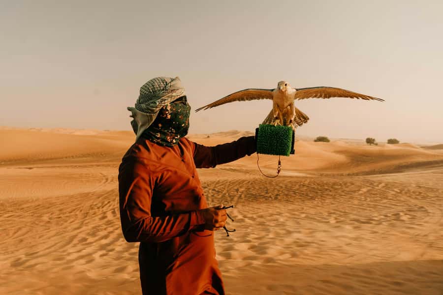 Doha: Desert Safari, Sandboarding, Dune Bashing & Inland Sea - What is included, and where costs can rise