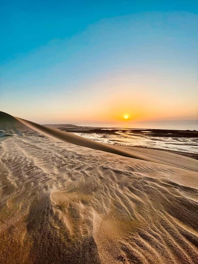 Doha: Desert Safari Sunrise Tour/Sunset Tour - Key points at a glance