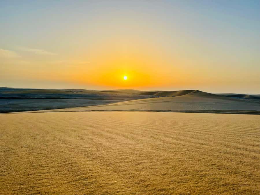 Doha: Desert Safari Sunrise Tour/Sunset Tour - What $103 buys you in the Mesaieed desert