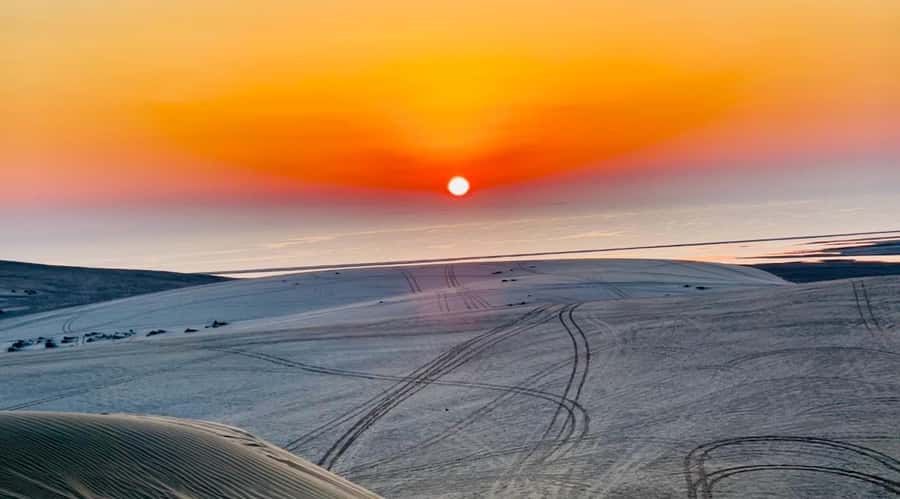 Doha: Desert Safari Sunrise Tour/Sunset Tour - A 15-minute camel ride at Mesaieed