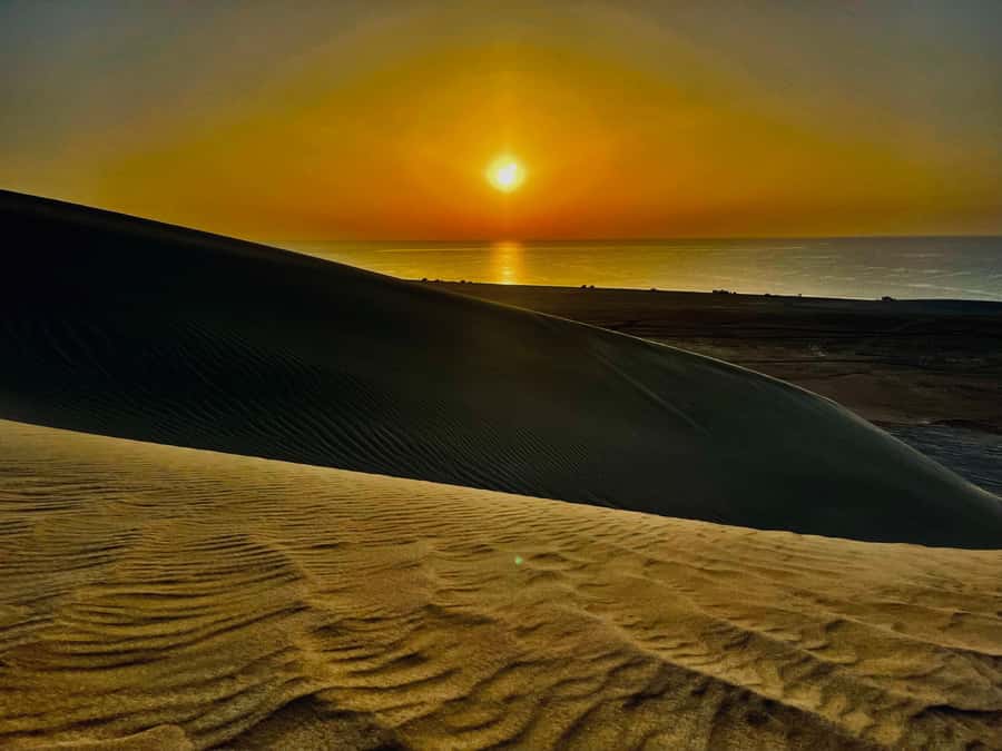 Doha: Desert Safari Sunrise Tour/Sunset Tour - Another 30-minute run across the dunes